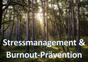 Stressmanagement & Burnout-Prävention