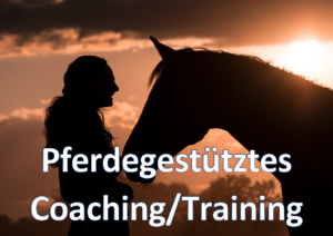 Pferdegestütztes Coaching Training