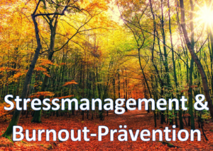 Stressmanagement & Burnout-Prävention1